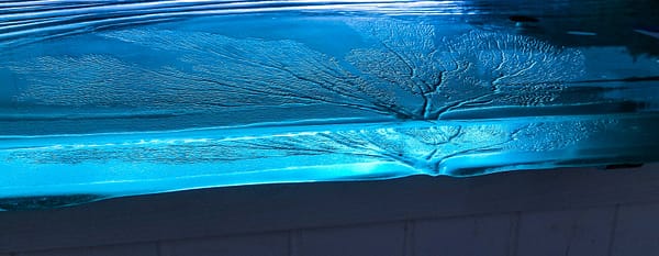 Sea Fan casting in Glass Countertop